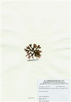 藏品(海木耳)的圖片